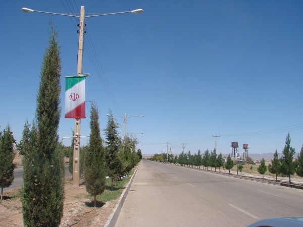 DSC00313