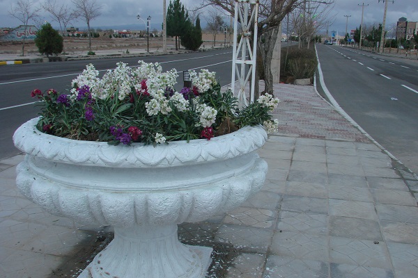 DSC044h65